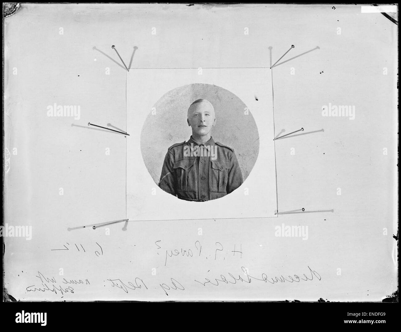 Dieses Schwarzweiß-Foto von H.G. Pavey zeigt verstorbene Soldaten während des Ersten Weltkriegs. Es wurde vom Landwirtschaftsministerium in New South Wales aufgenommen und ist Teil einer Archivsammlung, die die Auswirkungen des Krieges auf Soldaten und Zivilisten dokumentiert. Stockfoto