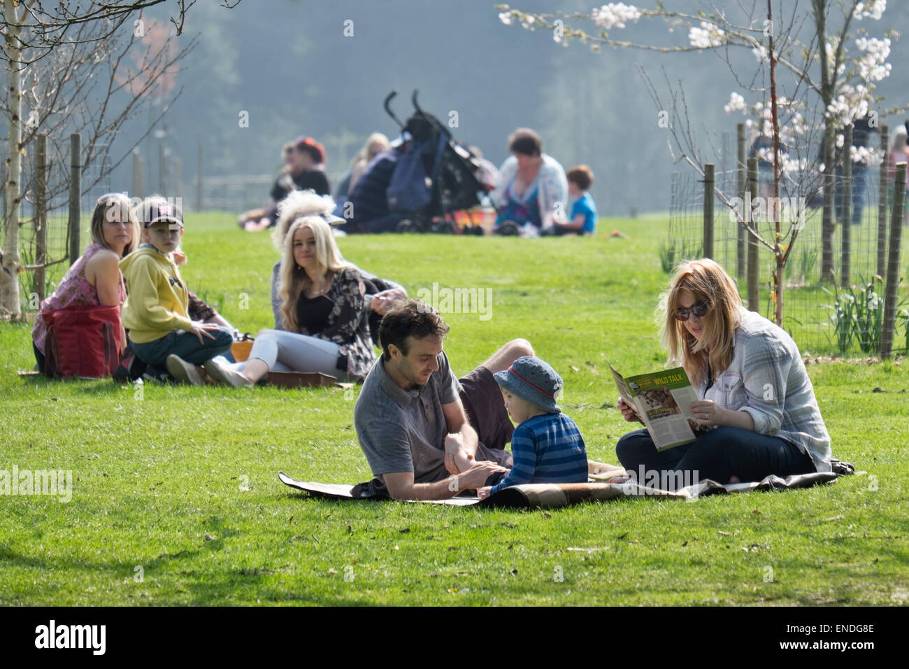 Familien entspannen, Picknicken, & genießen den Sonnenschein zusammen in einem Park in Großbritannien Stockfoto