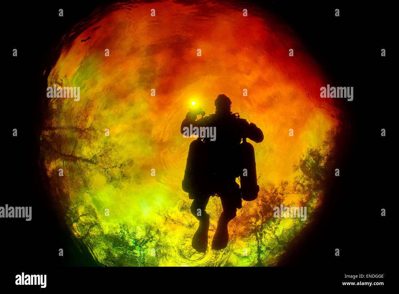 Taucher im Devils Eye mit roten Wasser aus Santa Fe Fluss, Schwellung Topf in der Nähe von Ginnie Springs, High Springs, Florida, USA Stockfoto