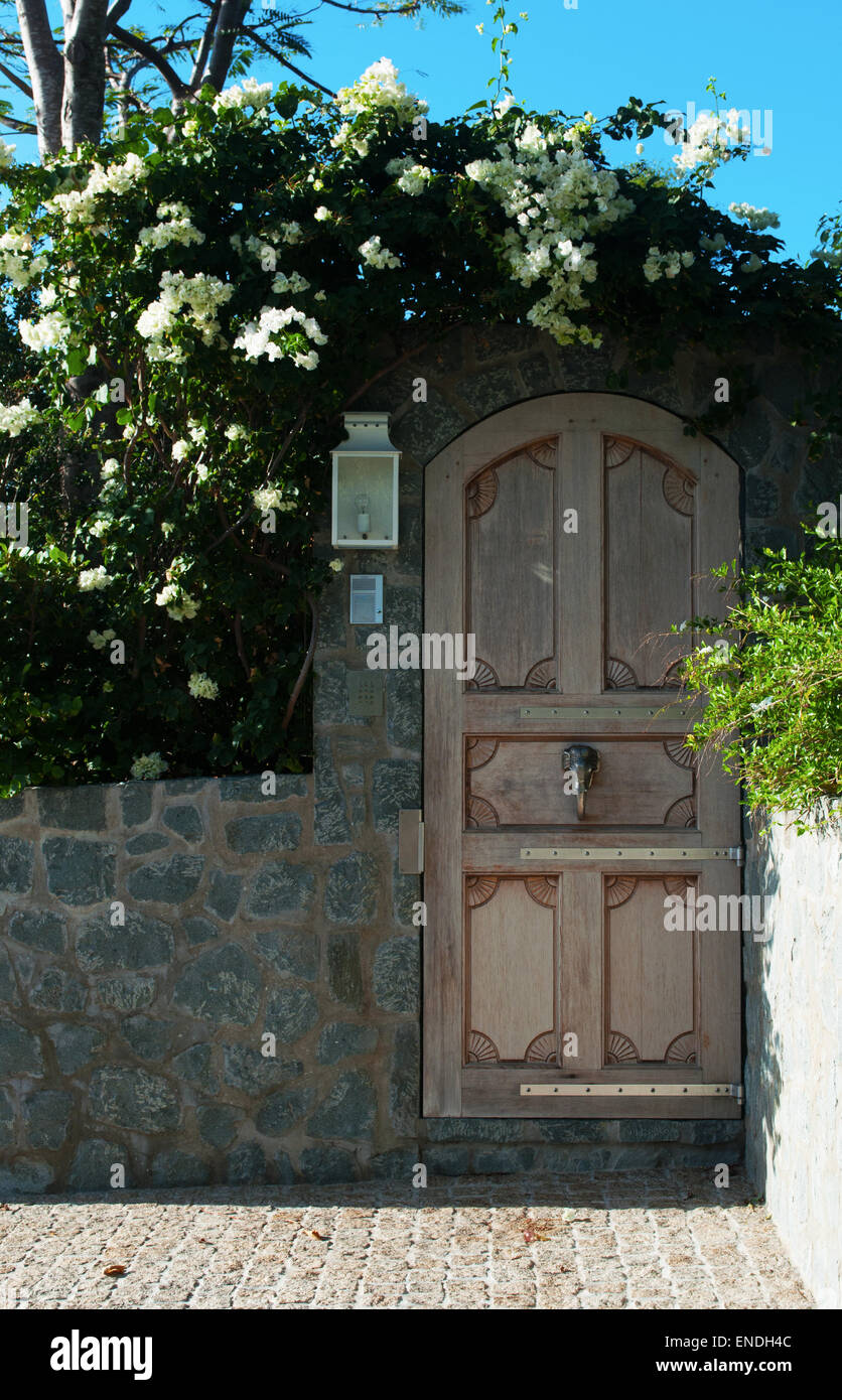 St Barth, St. Barths, Saint-Barthélemy, Antillen, Französische Antillen, Karibik: kletterpflanzen an der Wand und Holz dekoriert Tür Stockfoto