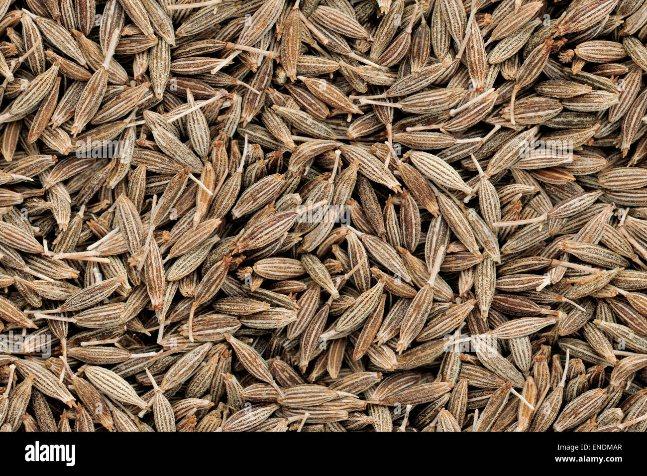Kreuzkümmel Samen nahtlose Textur Muster Bild. Indisches Gewürz Closeup Hintergrund mit Draufsicht und aneinander Stockfoto