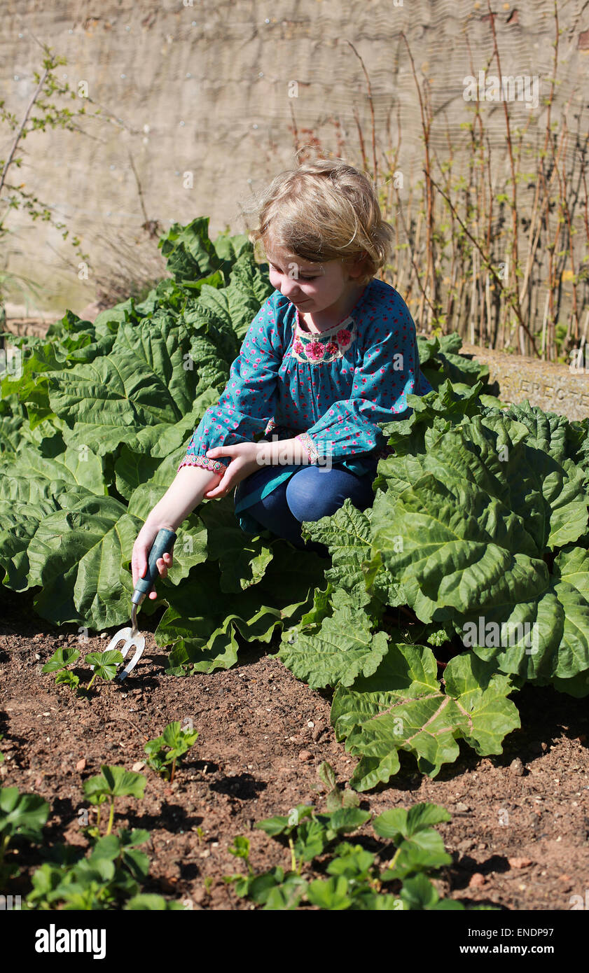 Hübsches junges Mädchen Erdbeere Pflanzen in einem Garten Stockfoto