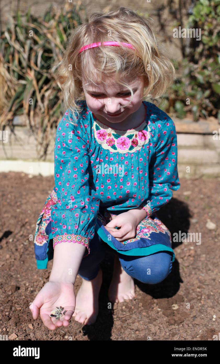 Hübsches junges Mädchen mit Sonnenblumen-Samen, die sie Pflanzen soll Stockfoto