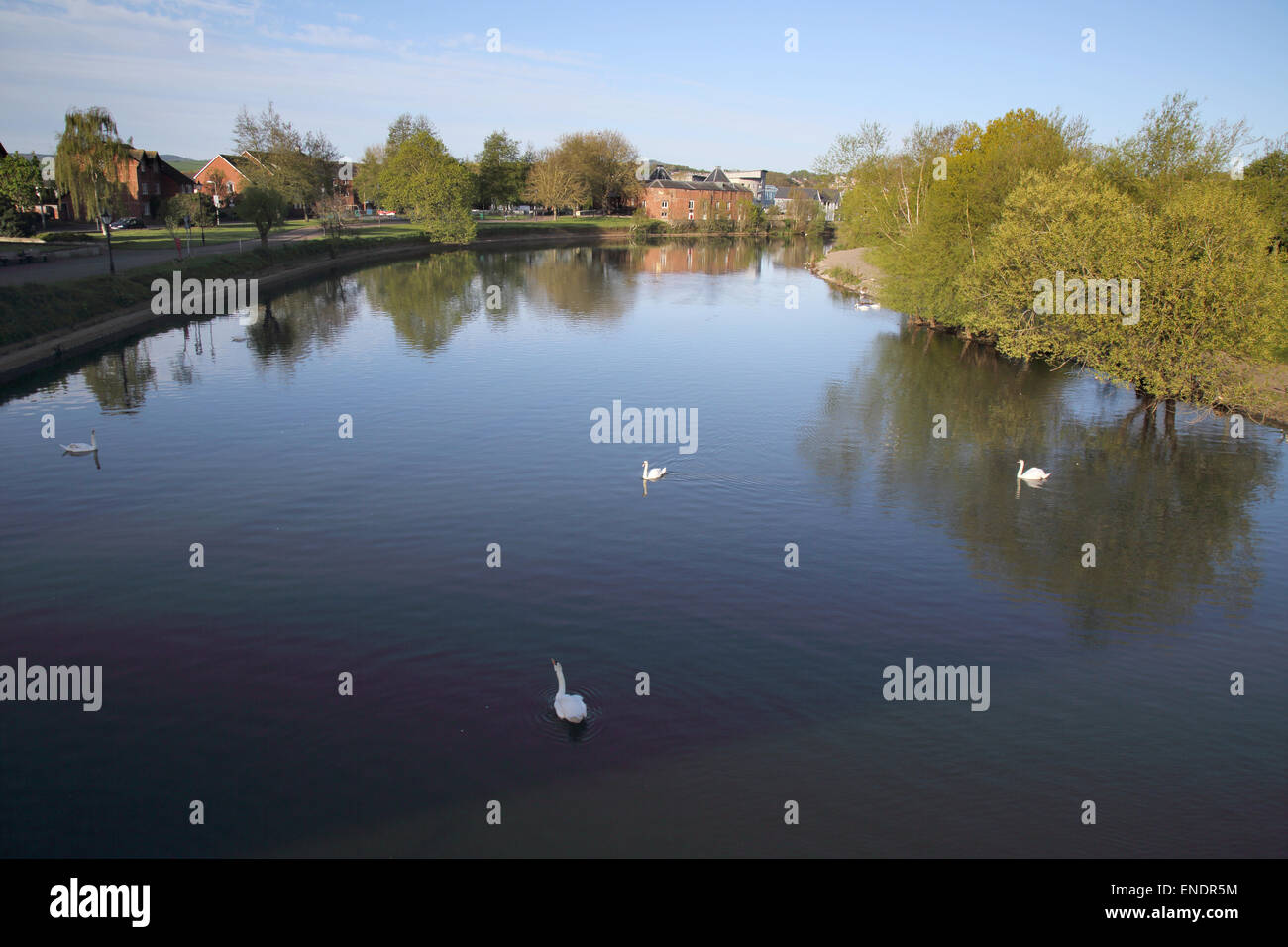 Exeter Kanal und Becken Stockfoto