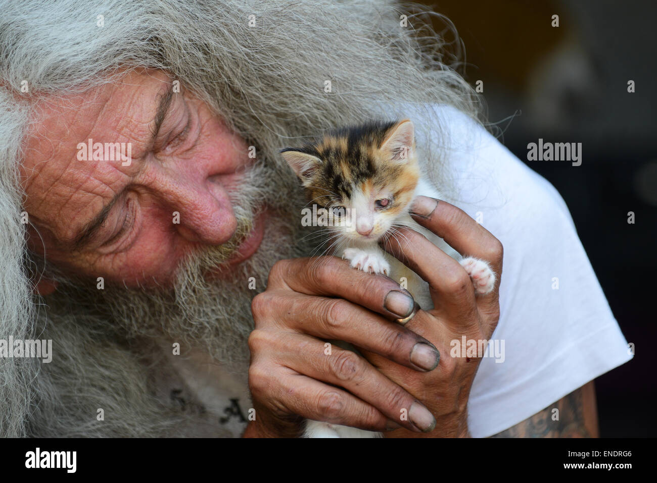 Mann mit langen Haaren und Bart John Julian mit einem der Kätzchen, die er in seinem Schuppen gefunden. Freundliche Tierliebhaber Kätzchen retten Großbritannien Menschen männlich gerettet Stockfoto