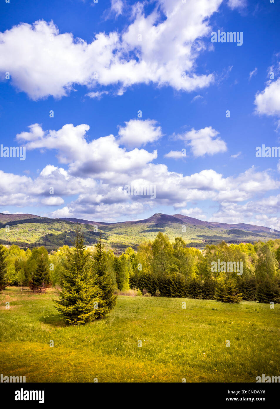 Landschaft von Bergen mit Wald und Wiese im Vordergrund Stockfoto