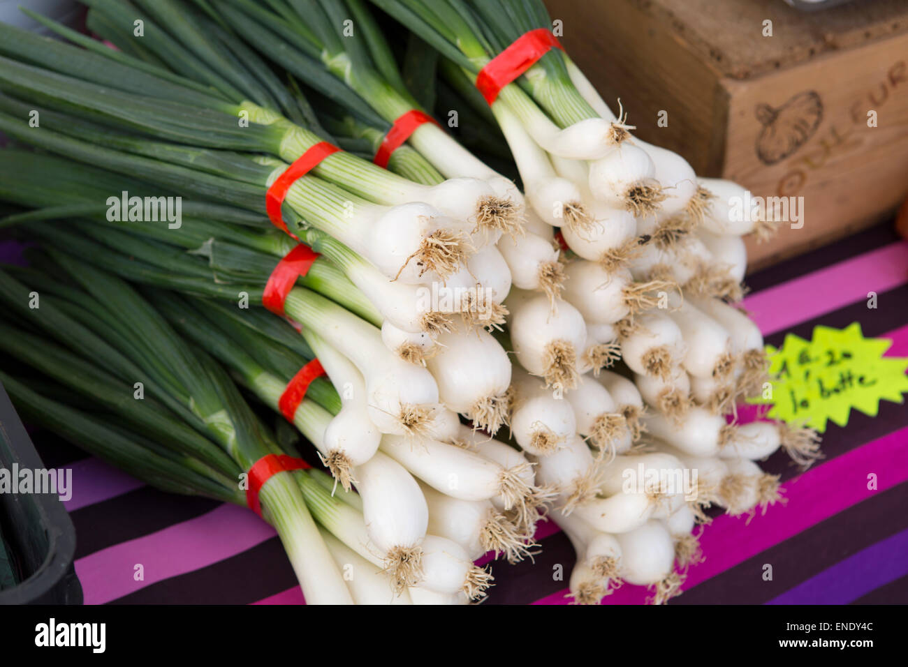Weiße Zwiebeln auf dem Sonntagsmarkt von Montcuq mit lokalen Lebensmitteln in Frankreich Stockfoto