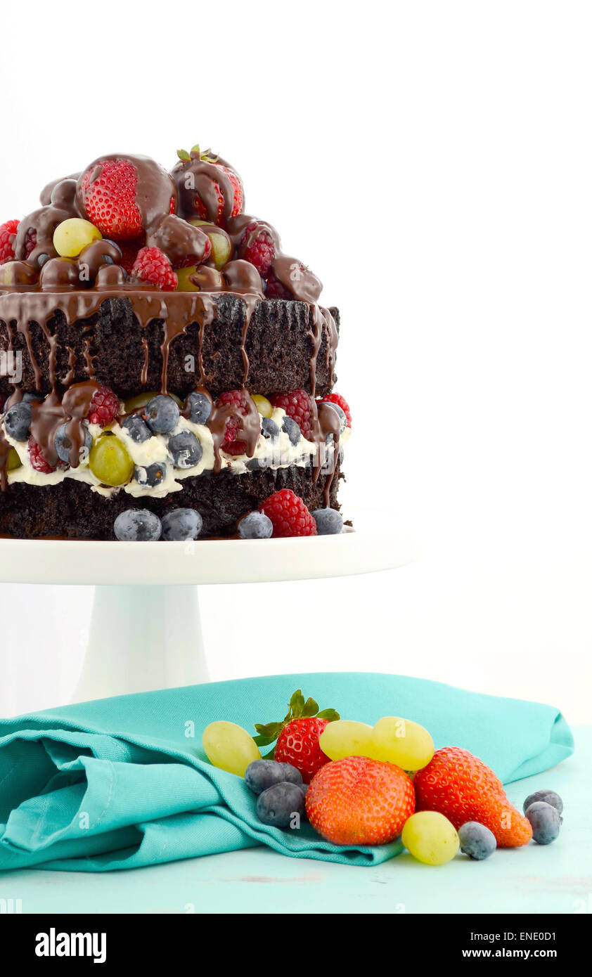 Herrlich göttlichen chocolate Cake mit Erdbeeren, Blaubeeren, Himbeeren und Trauben und Creme auf blass blauen shabby chic Reiter Stockfoto