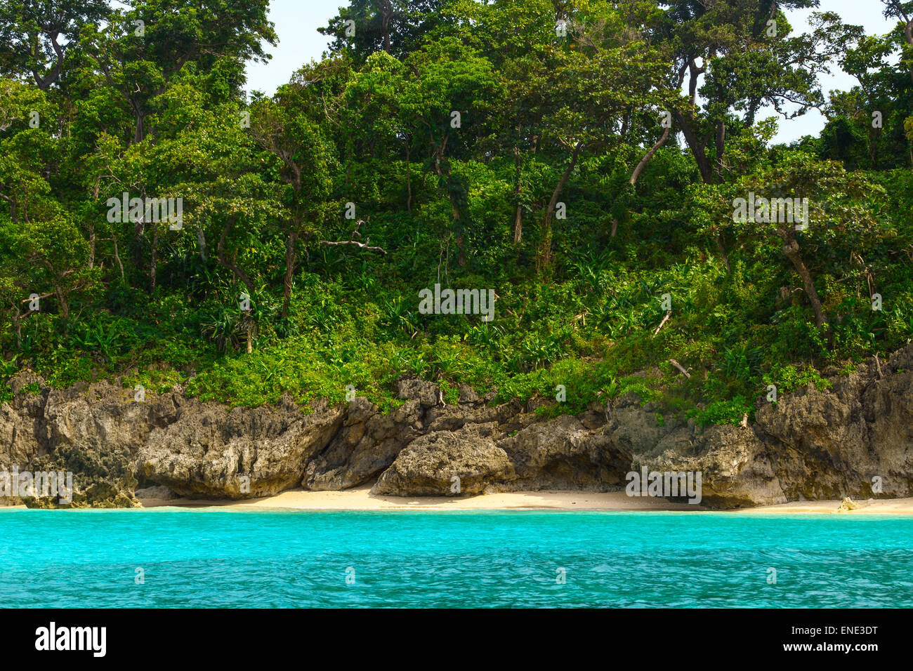 Grüne tropische Insel mit Palmen auf gelben Felsstrand mit Steinen im blauen Meer, Philippinen Boracay island Stockfoto