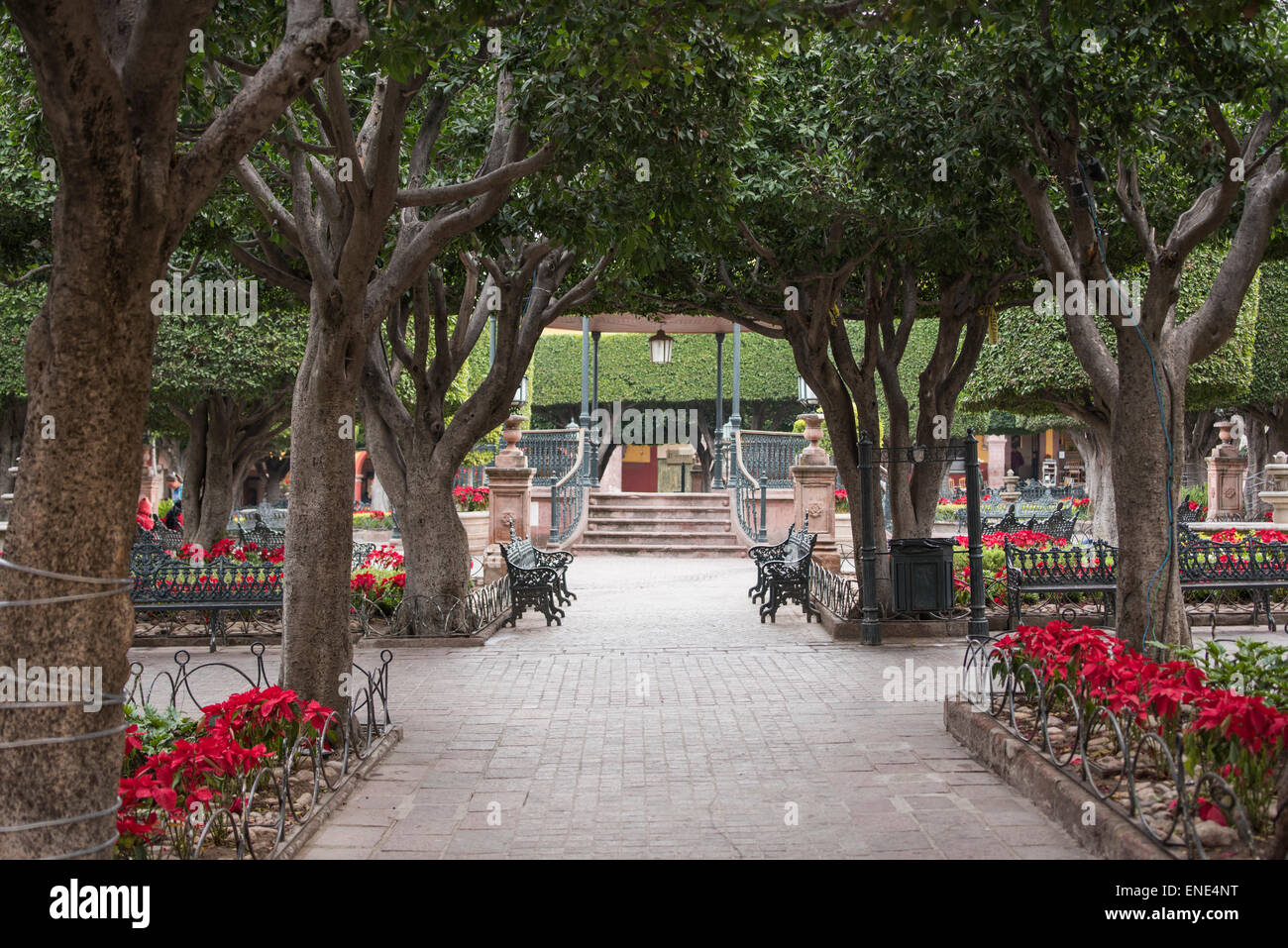 El Jardin Bänke und Garten in San Miguel de Allende, Mexiko Stockfoto