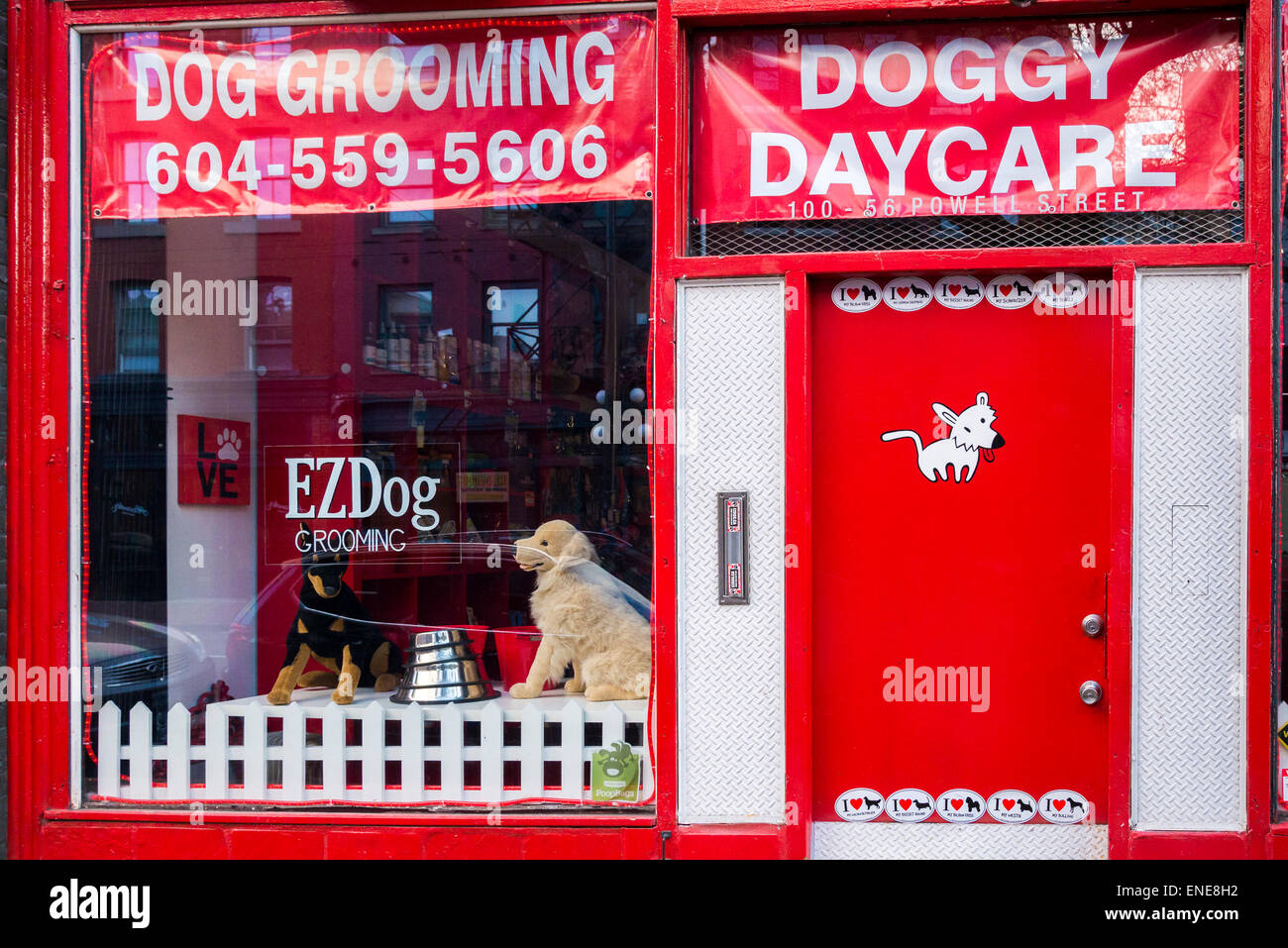 Doggy Daycare-Schaufenster, Vancouver, Britisch-Kolumbien, Kanada Stockfoto