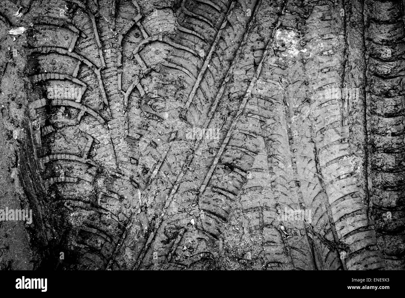 Frische Fahrzeugspuren beeindruckt in nassen Frühling Schlamm Stockfoto