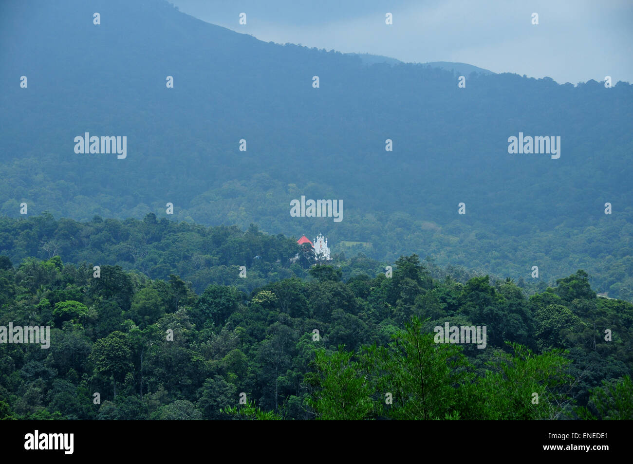 Kirche & dichten Wald Stockfoto