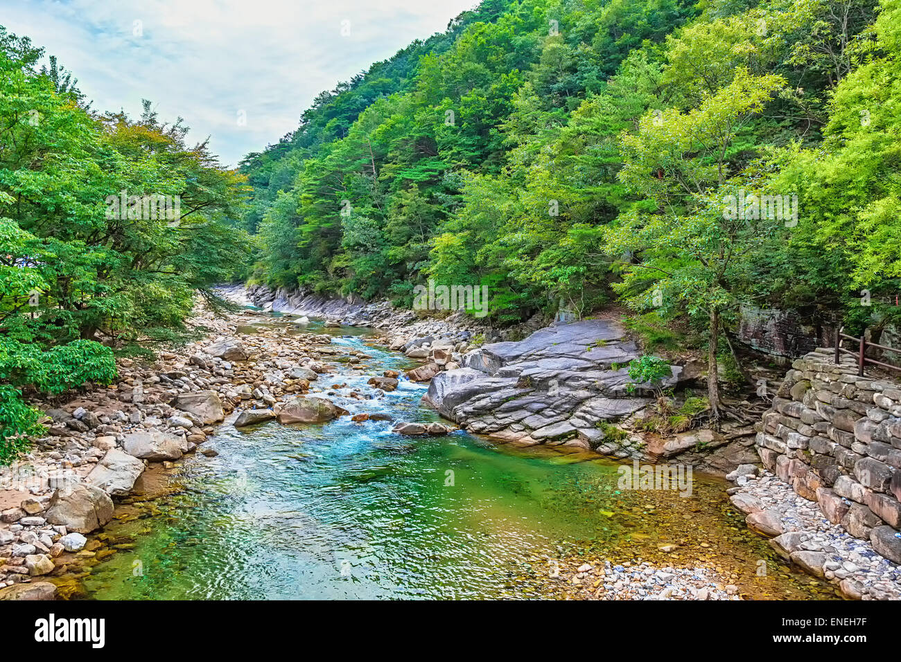 Fluss mit Felsen und Steinen im Bergwald in Südkorea Stockfoto