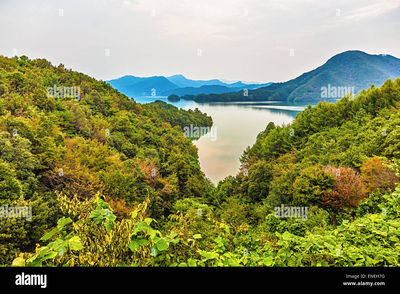 Berge mit grünen Bäumen und Seenlandschaft in Südkorea Stockfoto