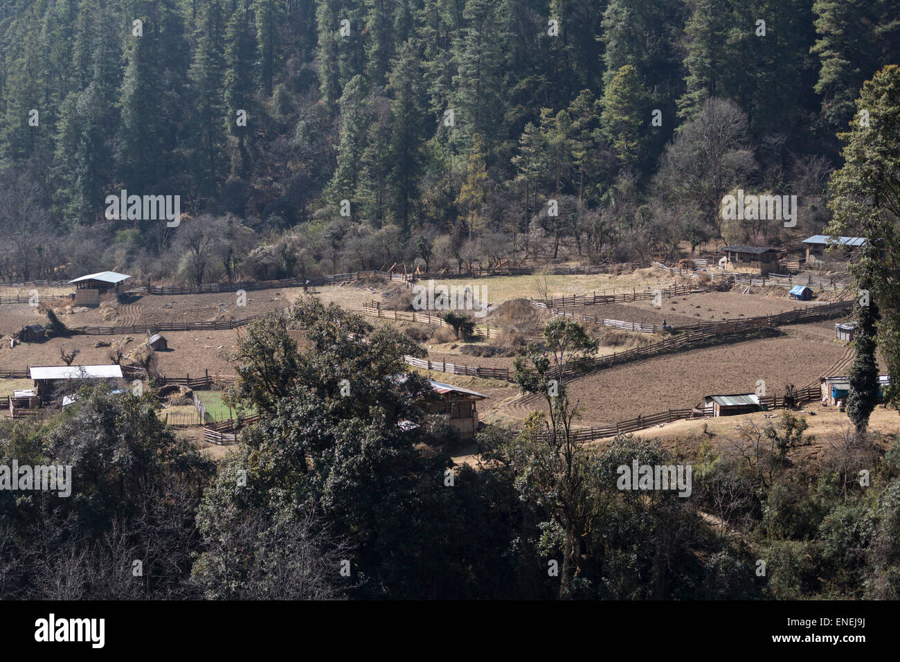 Bauernhöfe und Landschaft in der Nähe von Sephu (Chazam), Wangdue Phodrang, westliche Bhutan, Asien Stockfoto