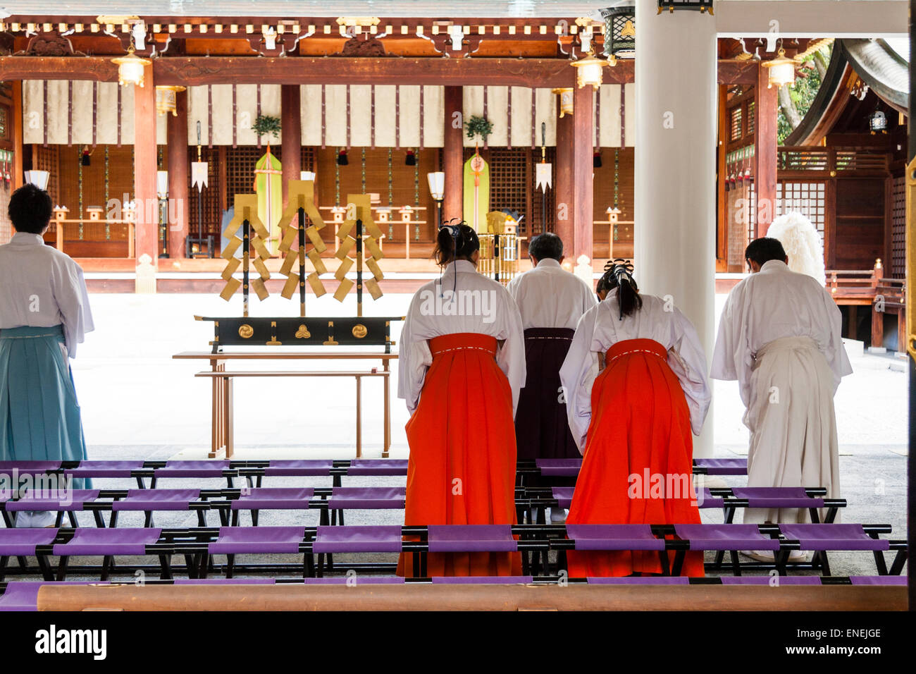 Miko, Schreinmädchen und männliche Begleiter, die sich vor dem Tisch mit gohei auf als Teil des religiösen Dienstes in der Halle eines schintoistischen Schreines in Japan beugen. Stockfoto