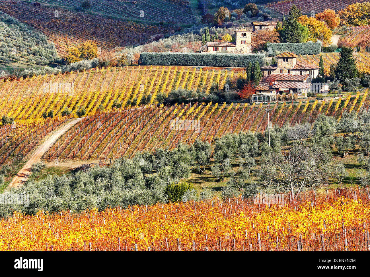 Ein schönes Häuschen mit Weingut in der Toskana (Italien) Stockfoto