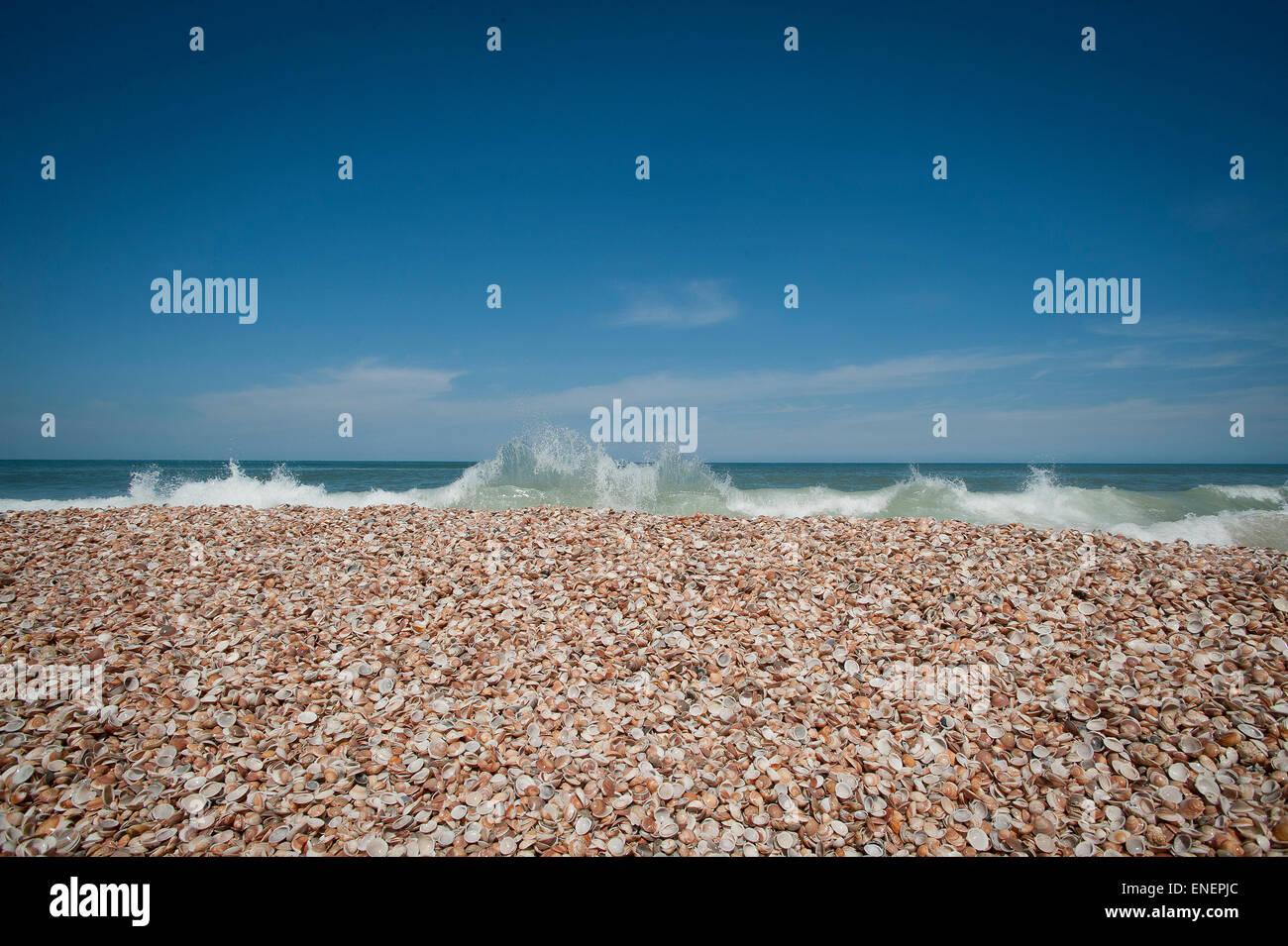 Rafah Strand Gaza Streifen Besetzte Palastinensische Gebiete Stockfotografie Alamy