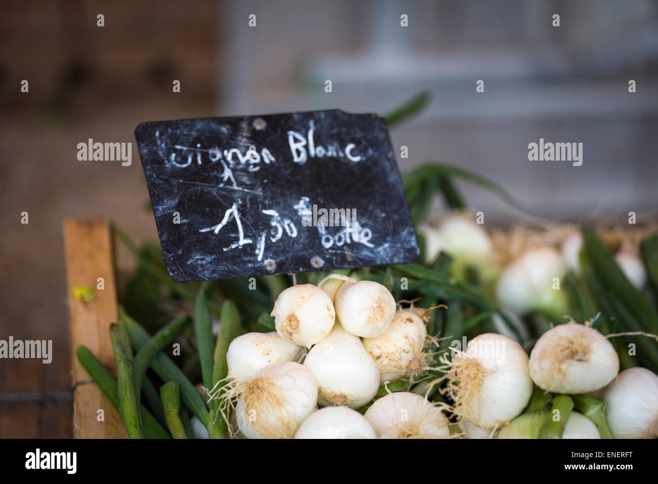 Weiße Zwiebeln an den lokalen Sonntagsmarkt von Montcuq mit lokalen Lebensmitteln in Frankreich Stockfoto