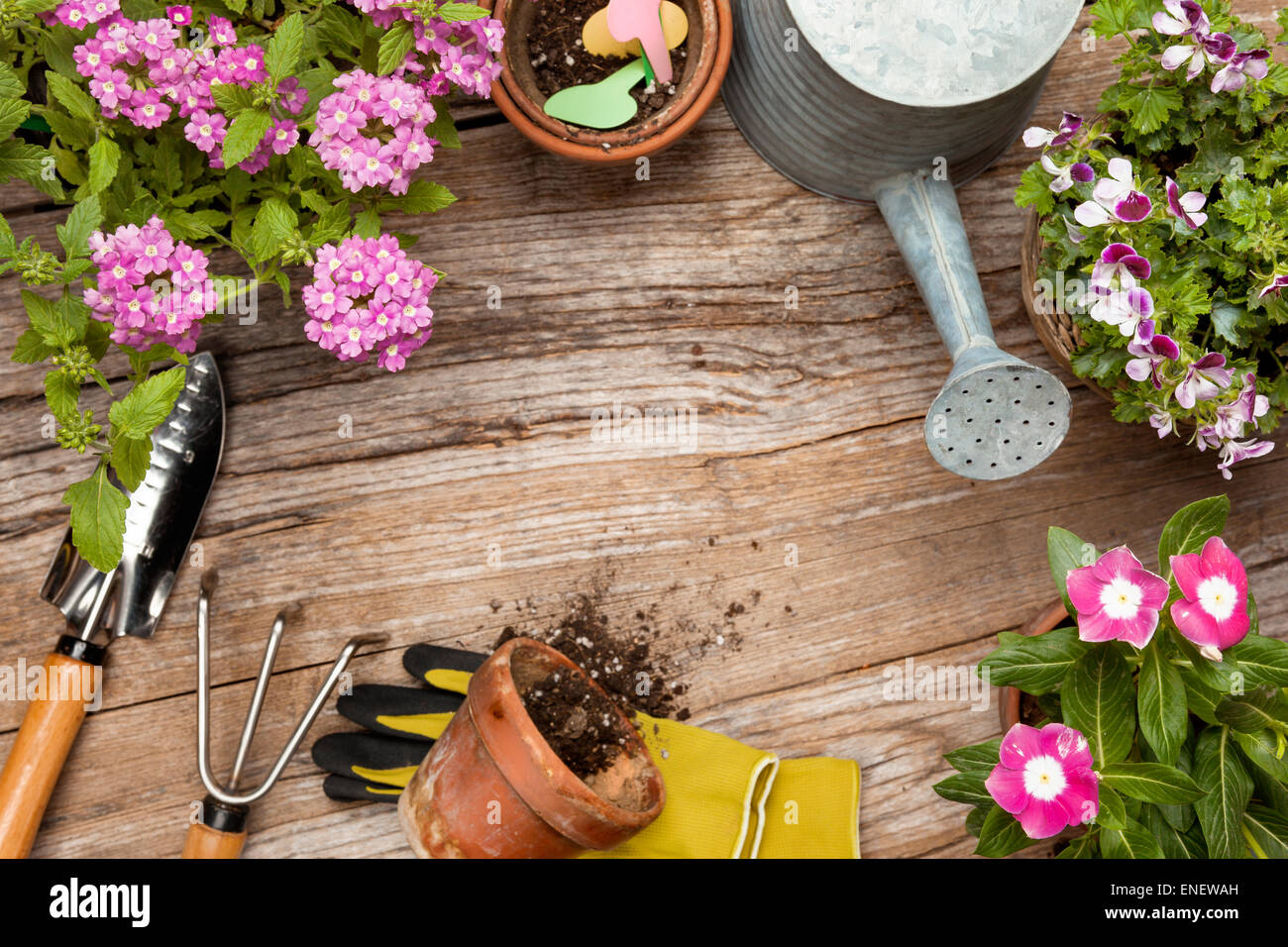 Gartengeräte und Blume auf hölzernen Hintergrund Stockfoto