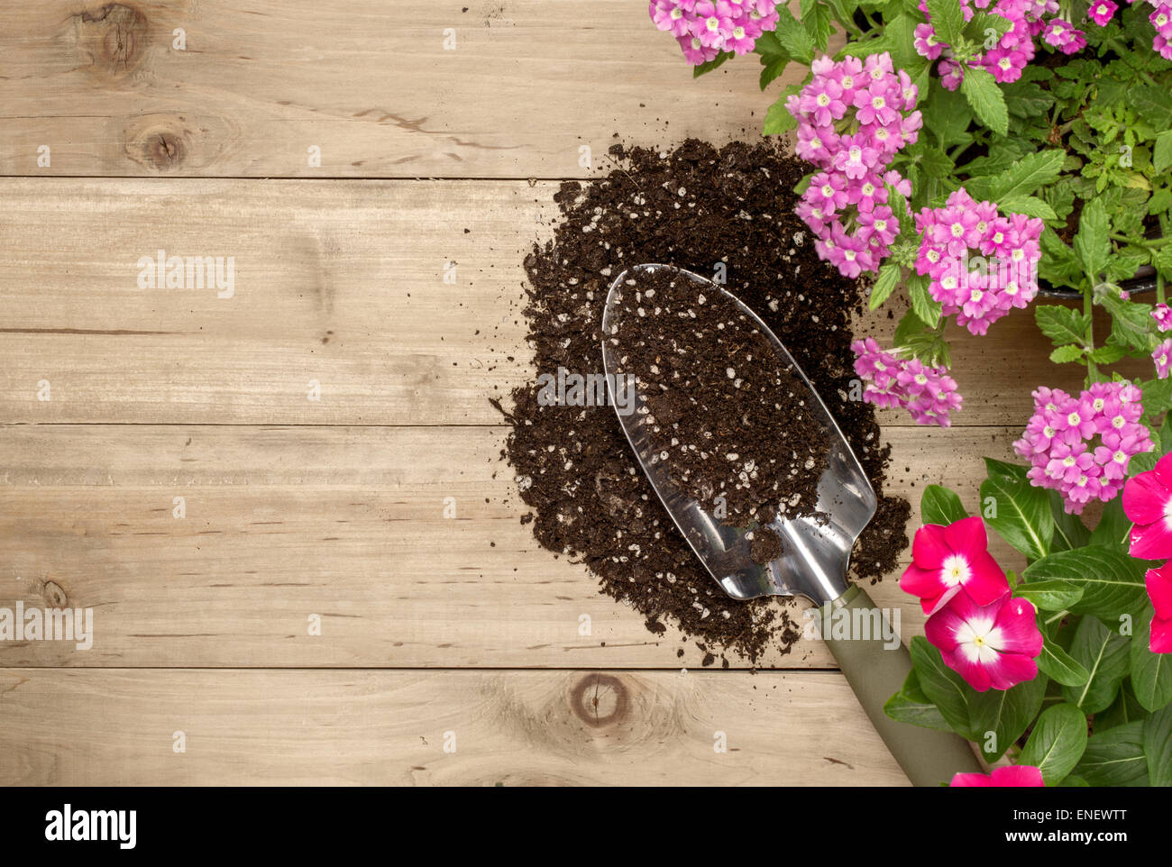 Gartengeräte und Blume auf hölzernen Hintergrund Stockfoto