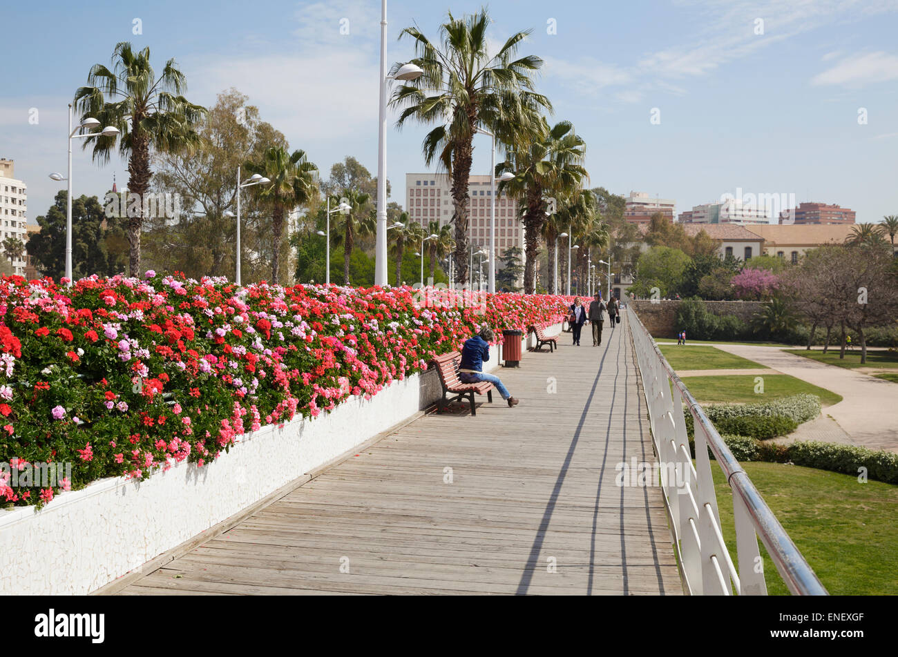 Puente de Las Flores - Blume-Brücke über den Park Jardin del Turia, Valencia, Spanien Stockfoto