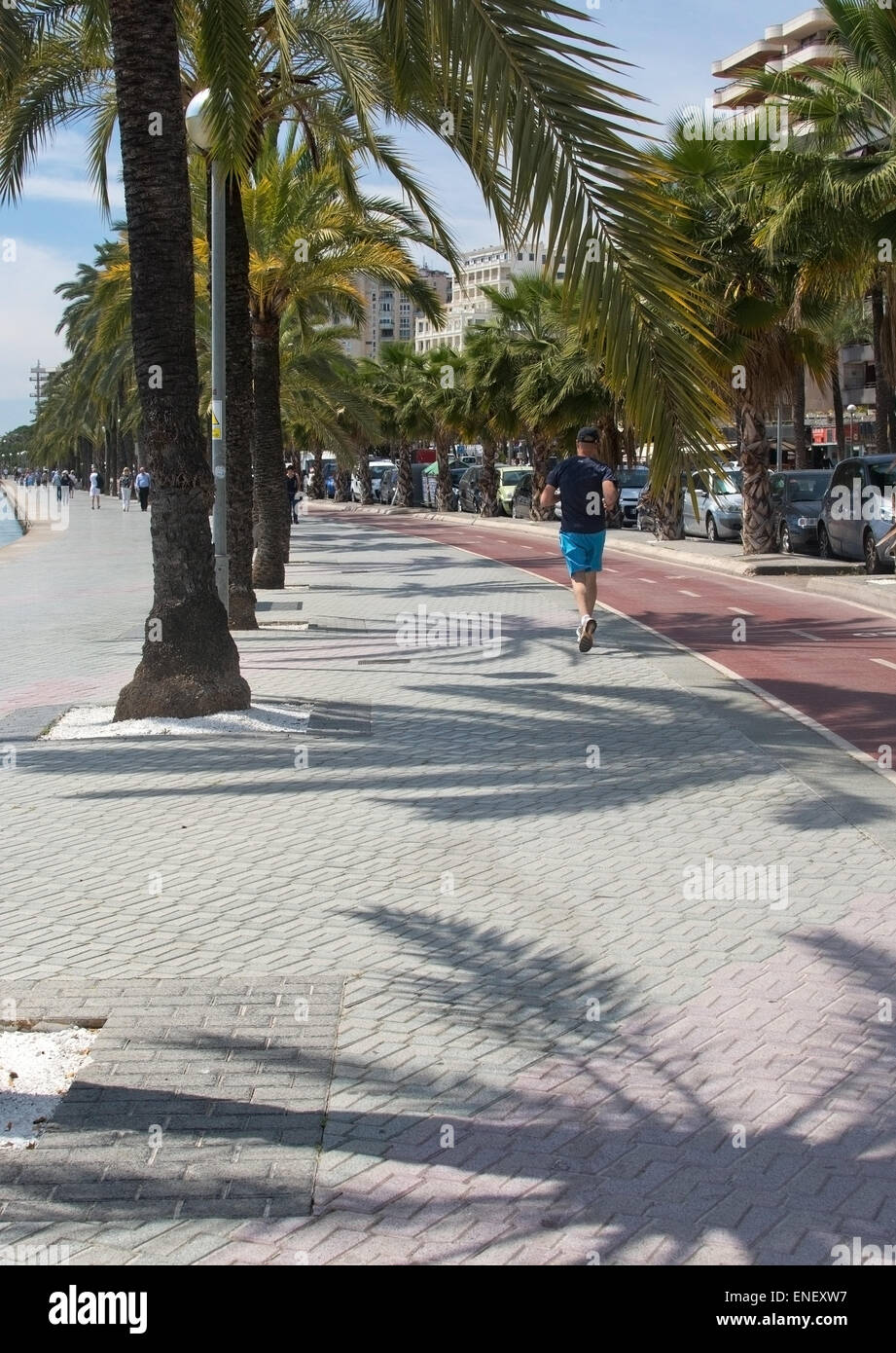 Jogger läuft entlang der Paseo Maritimo-Bike-Strecke am 21. April 2015 in Palma De Mallorca, Balearen, Spanien. Stockfoto
