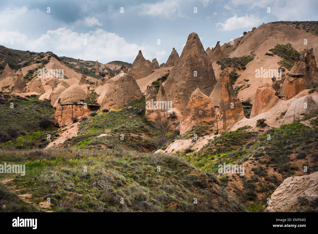 Felsformationen im Devrent oder Phantasie-Tal, Cappadocia.  Auch bekannt als Pink Tal Stockfoto