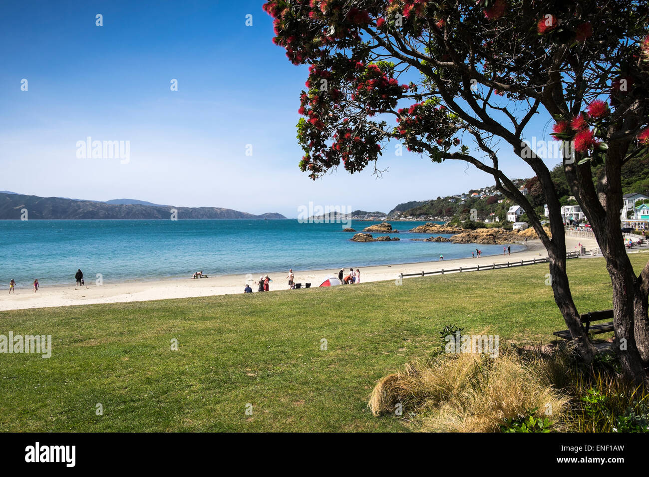 Strand bei sengender Bay, Wellington, Neuseeland. Stockfoto
