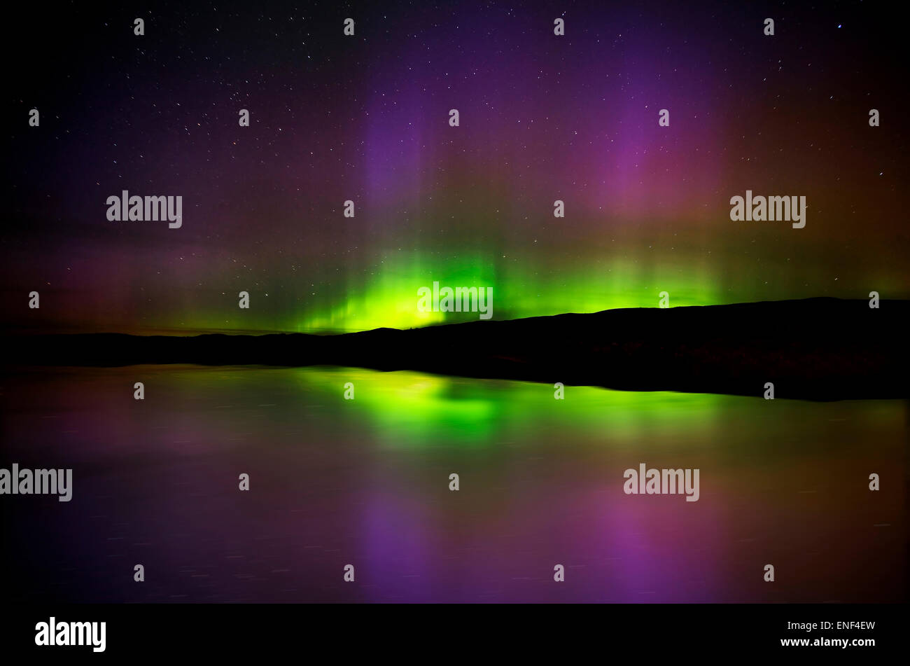 Aurora Borealis Northern Lights Saskatchewan See Stockfoto