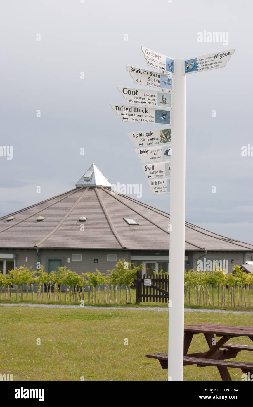 Schild mit Informationen über die Migration von Vögeln aus dem Abberton Reservoir, Essex, einem Feuchtgebiet von internationaler Bedeutung Stockfoto