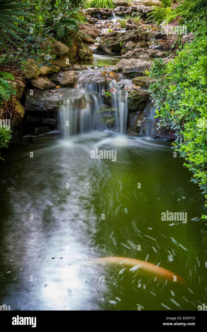 Kleiner Wasserfall in den japanischen botanischen Gärten in Fort Worth, Texas. Stockfoto