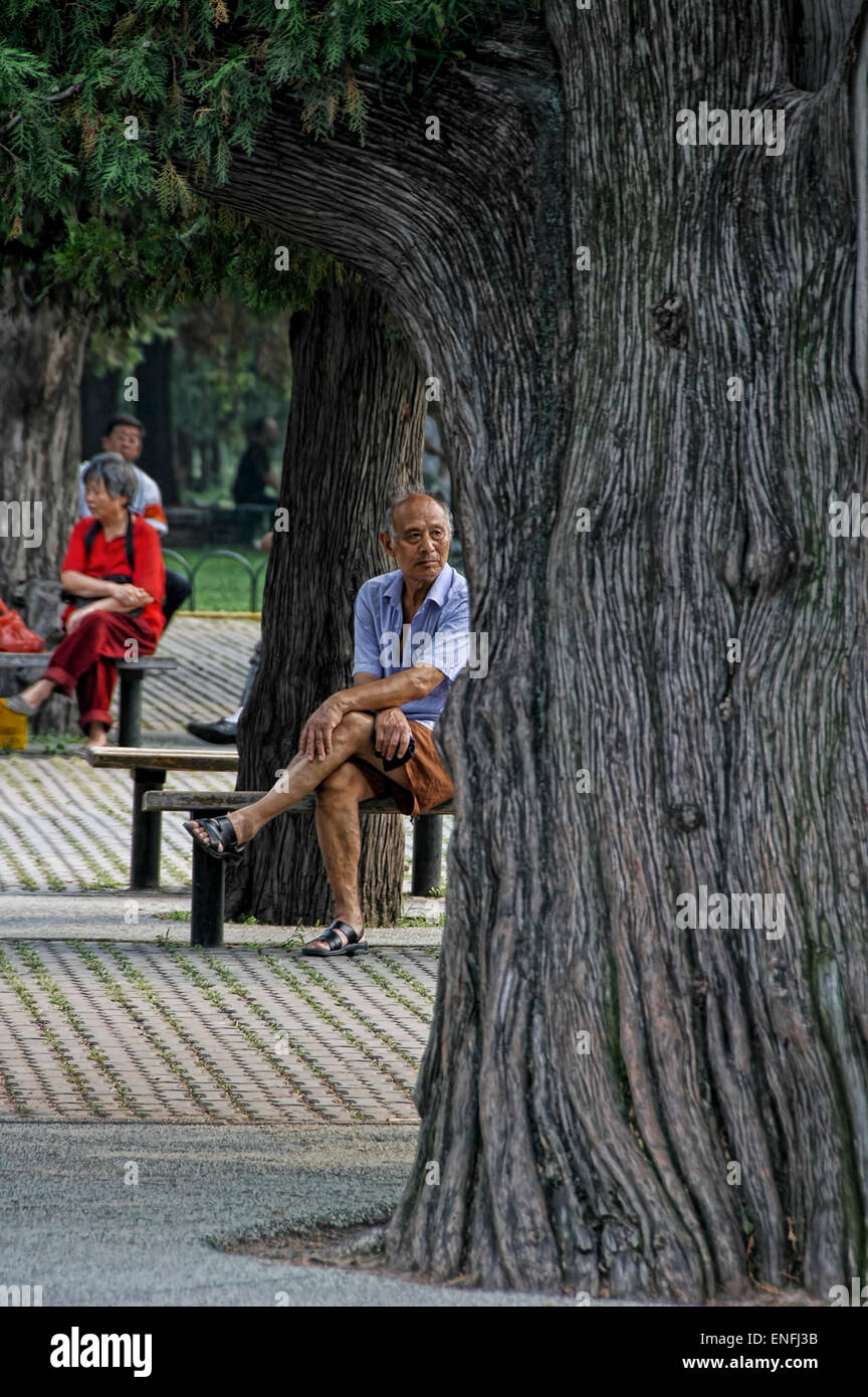 Alter Mann und alte Baum Stockfoto
