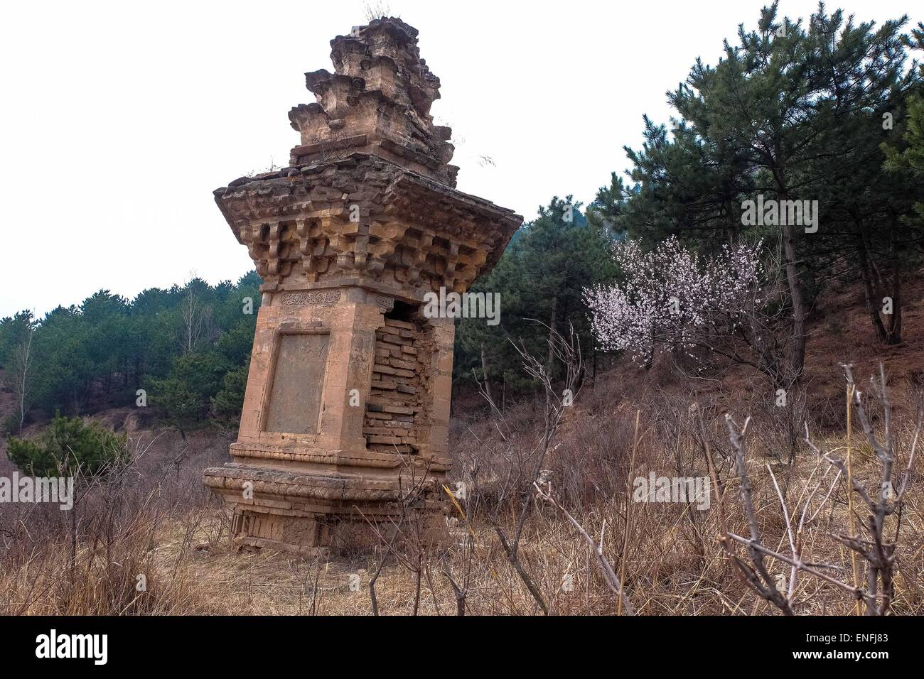 Taiyuan. 8. April 2015. Foto aufgenommen am 8. April 2015 zeigt einen alten, gemauerten Turm an der Foguang-Tempel, eingebettet in Mount Wutai, einem heiligen buddhistischen Berg in Nord-China Shanxi Provinz. Der Osten Haupthalle des Foguang-Tempel, ein Bauwerk in 857 waehrend der Tang Dynastie (618-917), ist eines der ältesten Holzbauten in China. © Fan Minda/Xinhua/Alamy Live-Nachrichten Stockfoto
