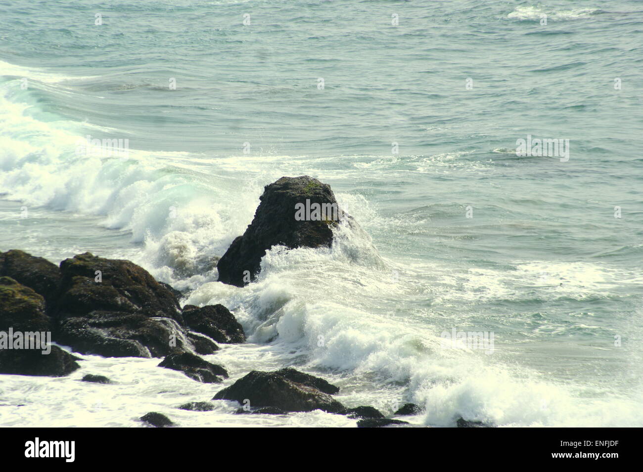 SHELL BEACH WAVES Stockfoto