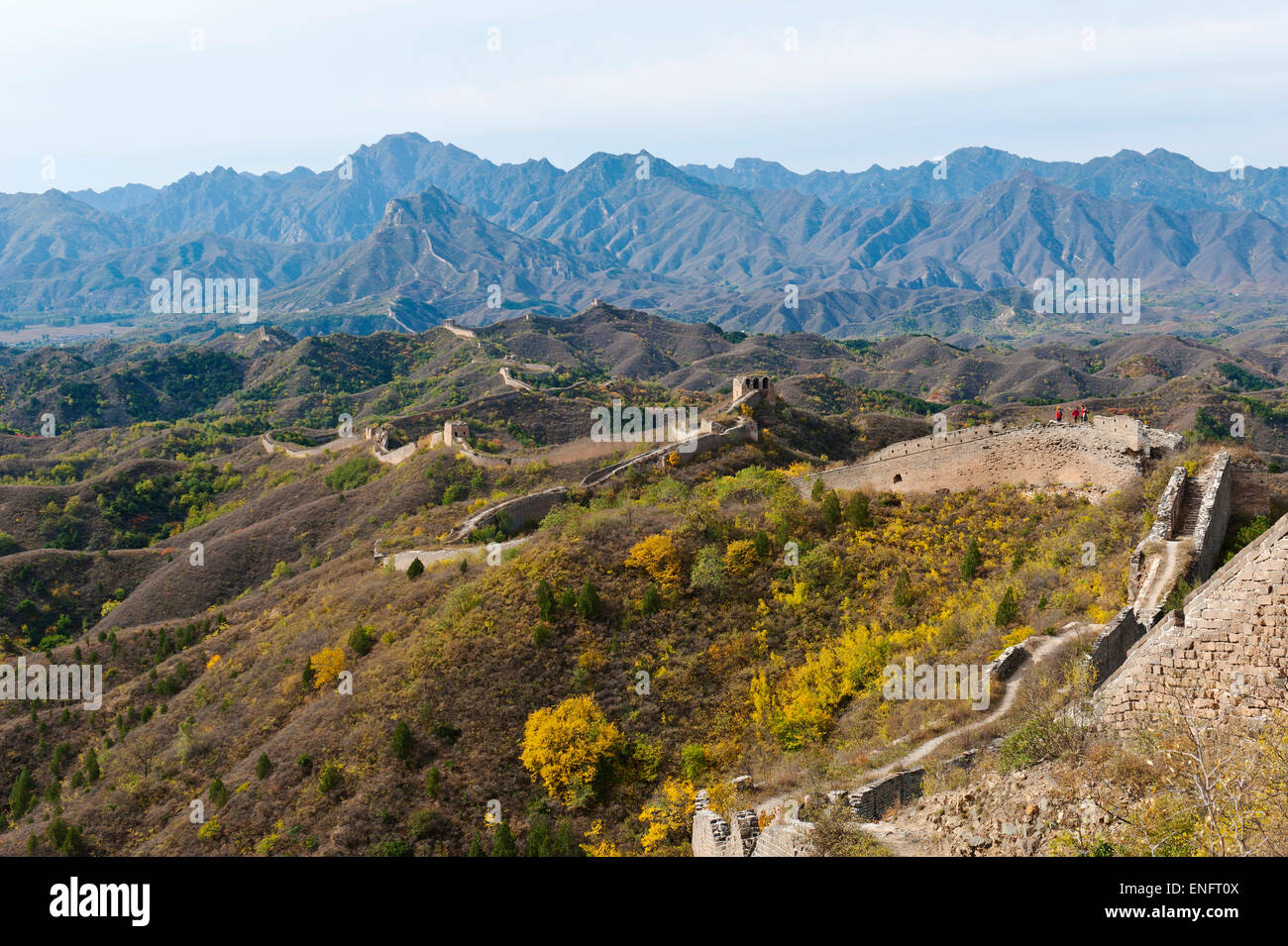 Great Wall Of China, historische Grenzfeste, UN-restaurierten Teil schlängelt sich durch die Berge, Herbst, Gubeikou Stockfoto