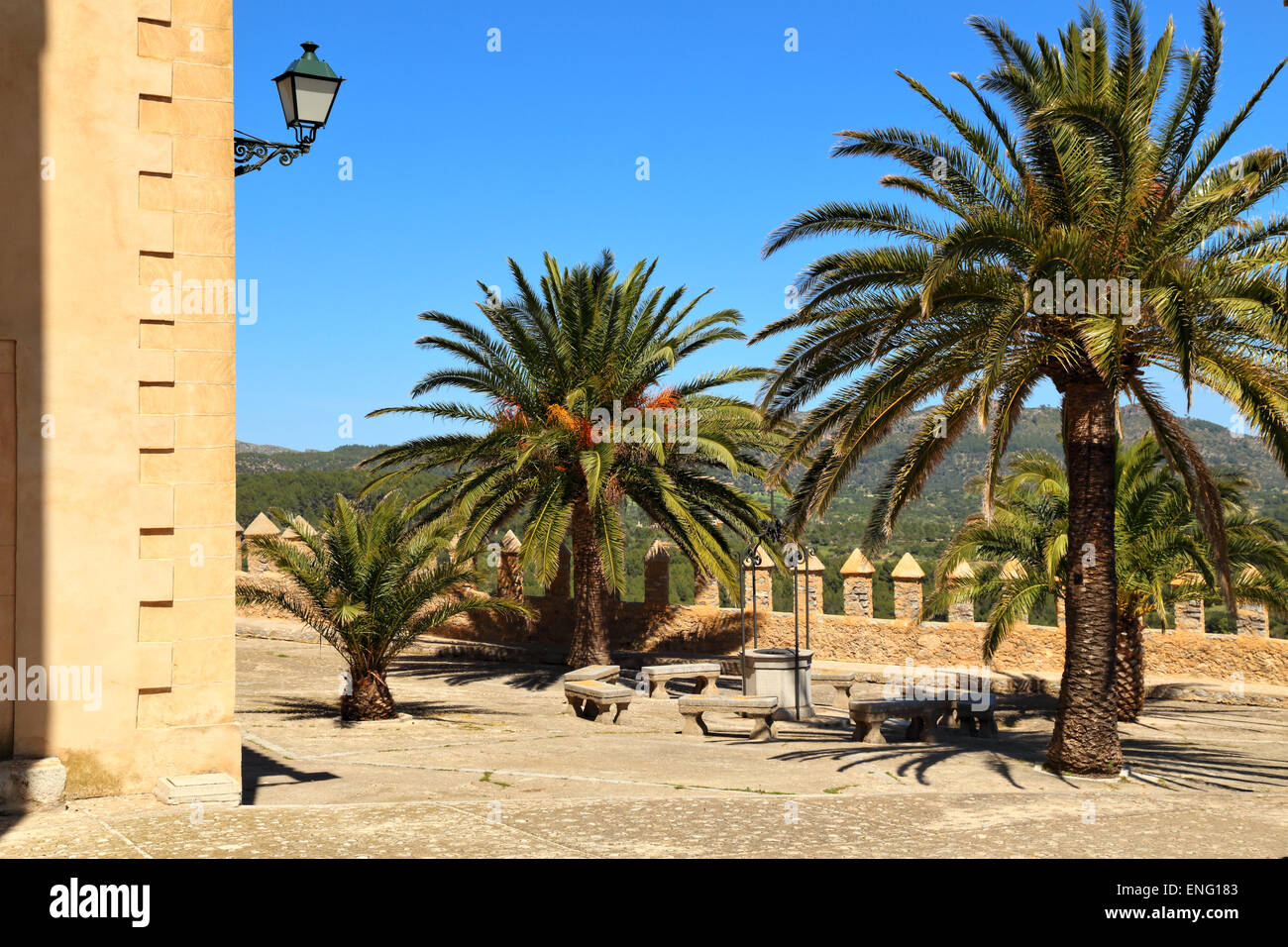 Palmen an der Wallfahrt von Sant Salvador in Artà, Mallorca, Spanien Stockfoto