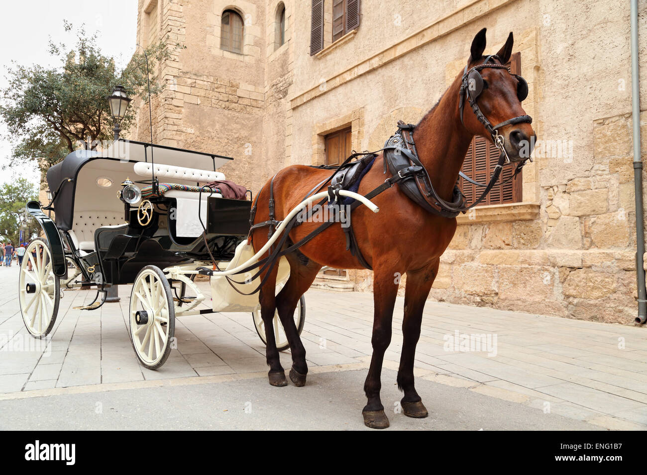 Pferdewagen vor der Kathedrale La Seu, Palma De Mallorca Stockfoto