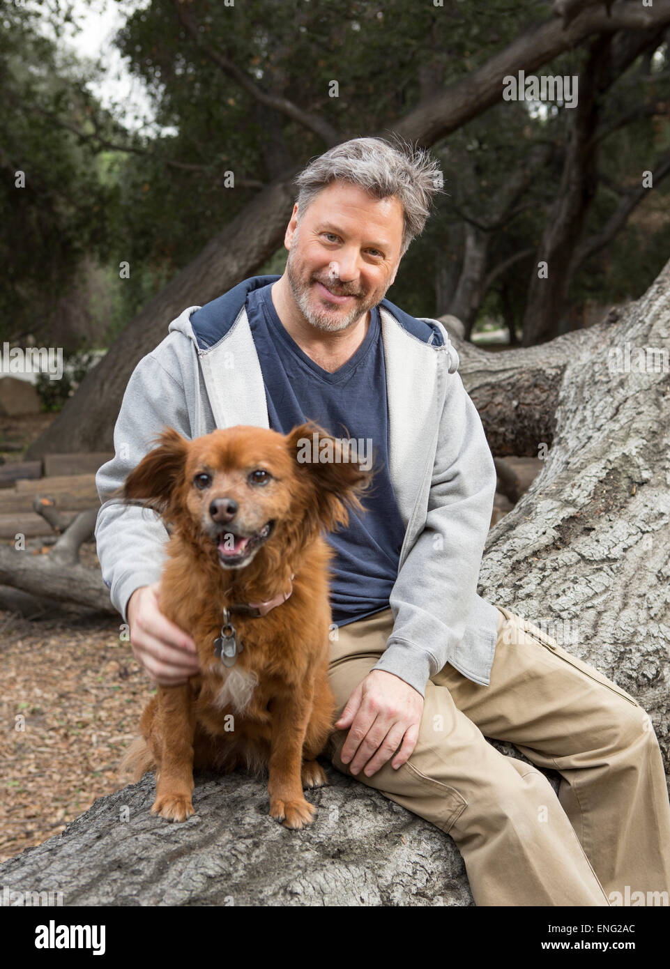 Kaukasischen Mann und Hundesitting auf Baum im park Stockfoto