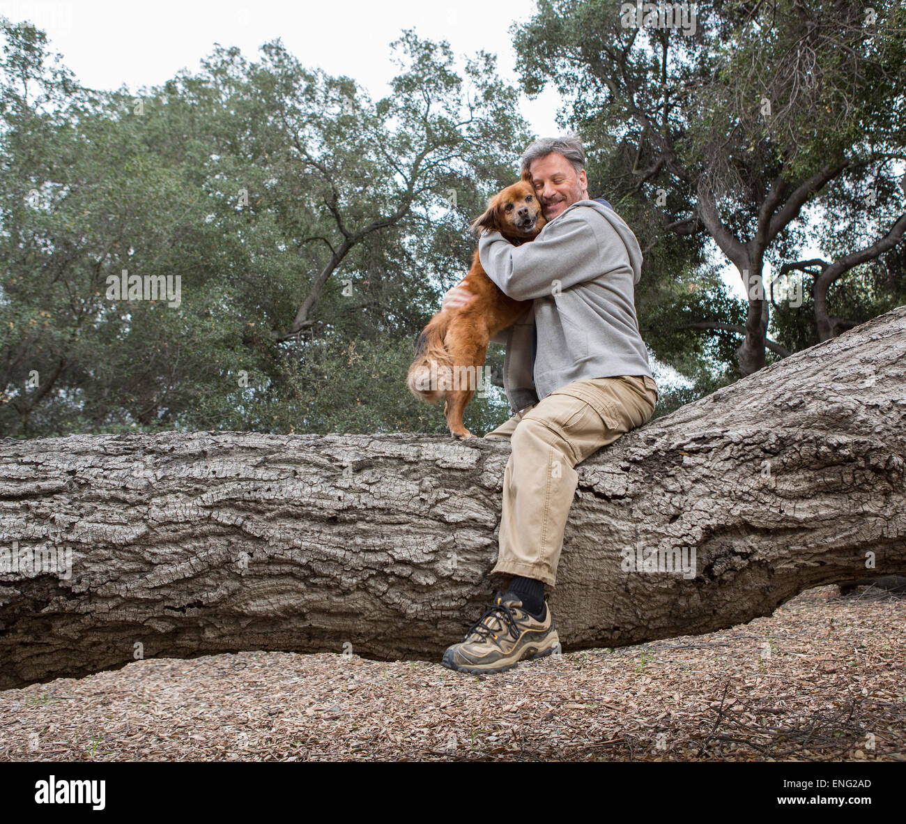 Kaukasischen Mann umarmt Hund am Baum im park Stockfoto