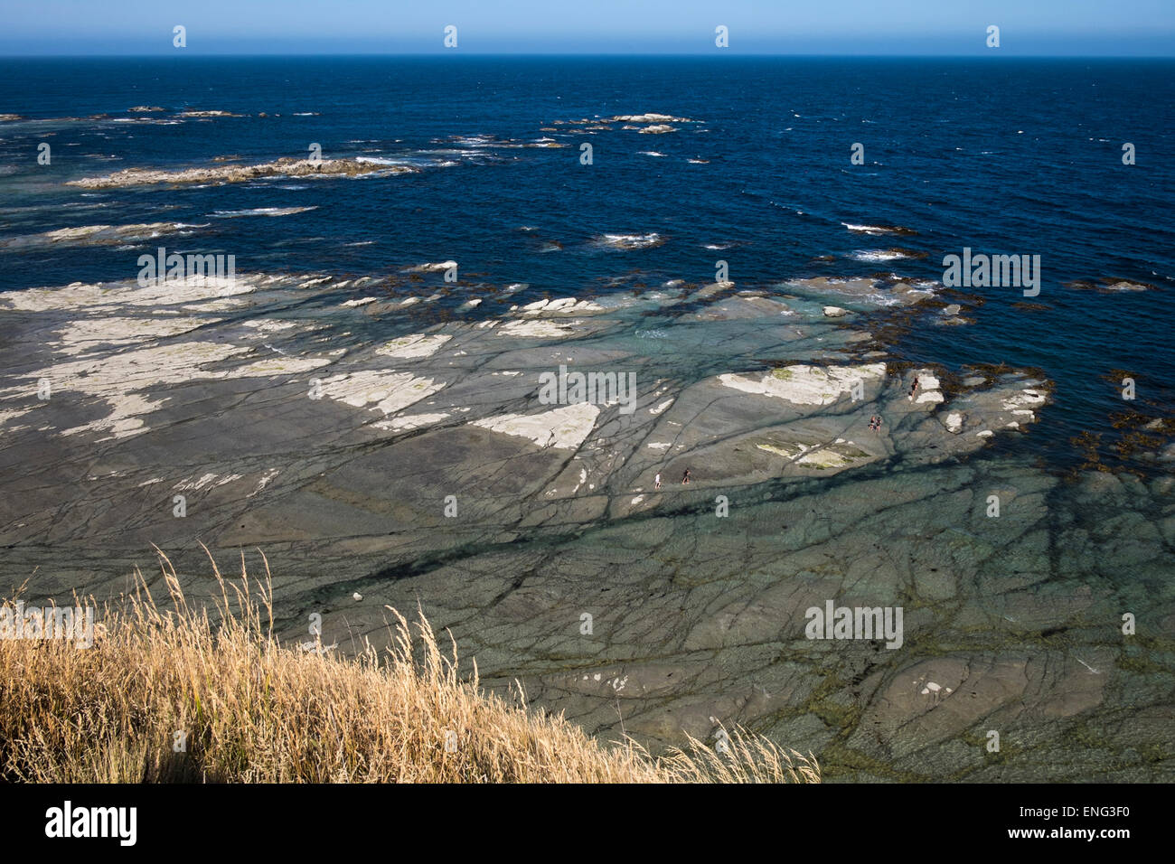 Kaikoura Halbinsel in Südinsel, Neuseeland. Stockfoto