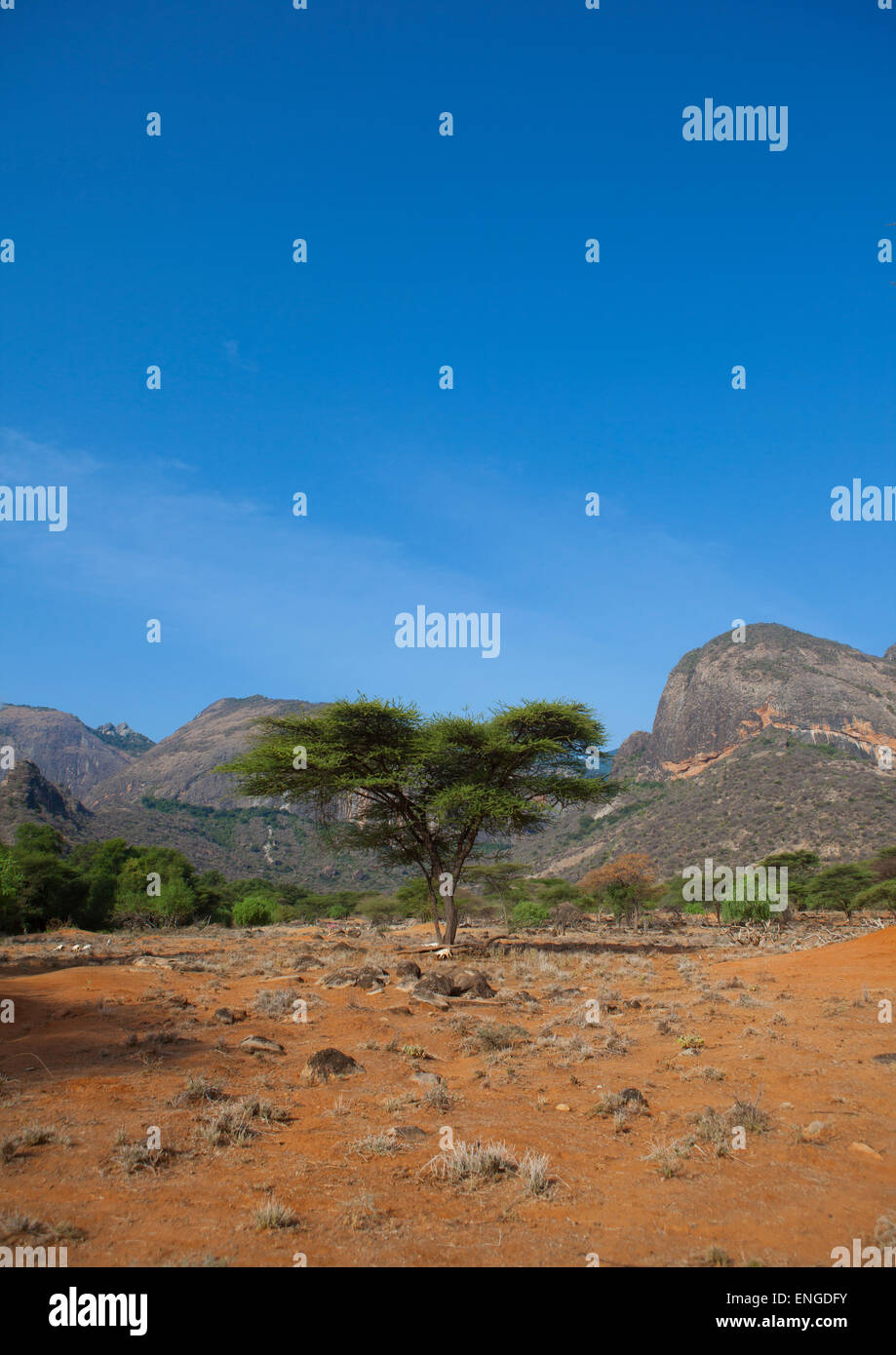 Ndoto Berge Landschaft, Marsabit District, Ngurunit, Kenia Stockfoto