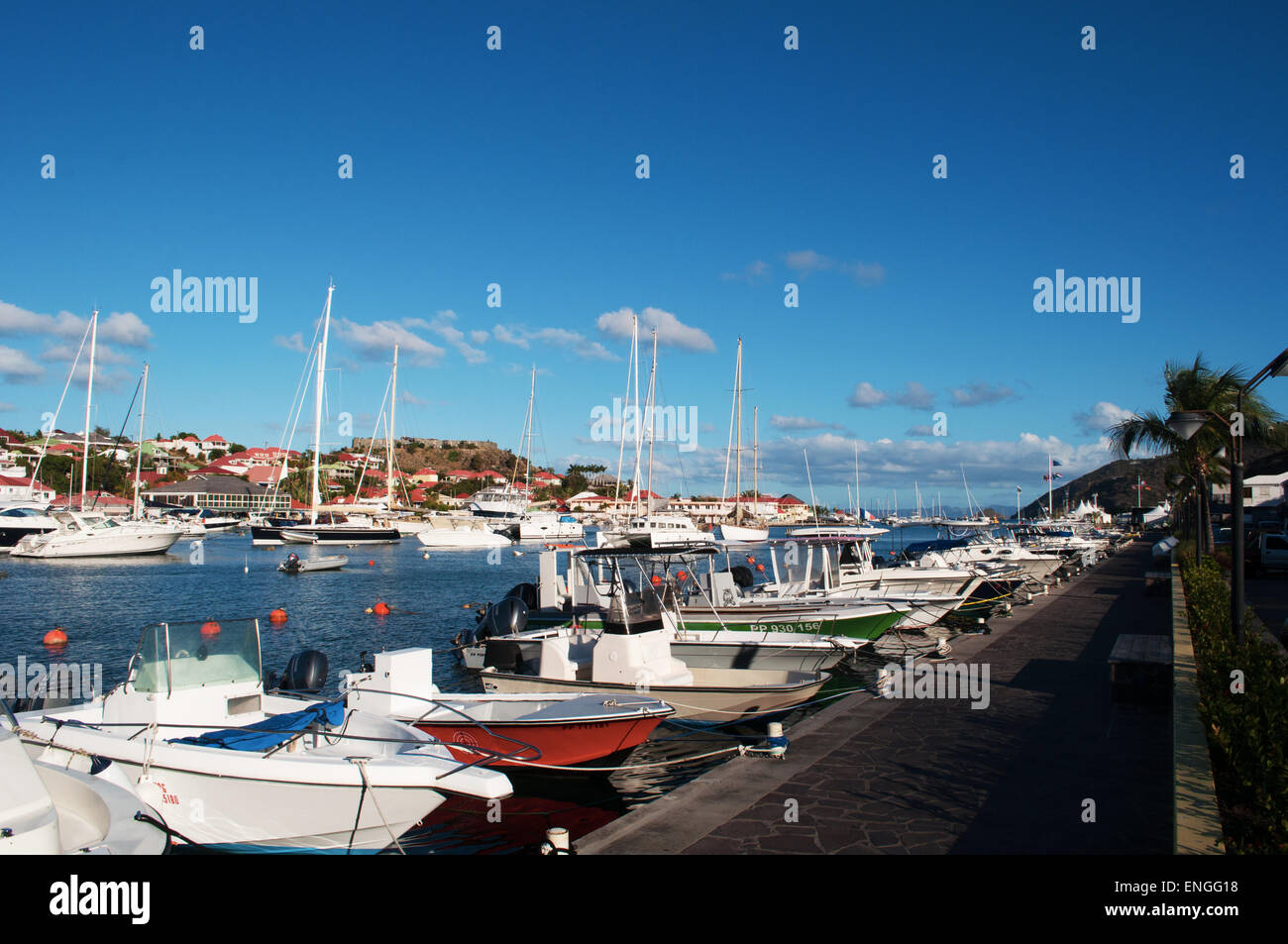 St Barth, St. Barths, Saint-Barthélemy, Antillen, Französische Antillen, Karibik: die Skyline und den Hafen von Gustavia Stockfoto