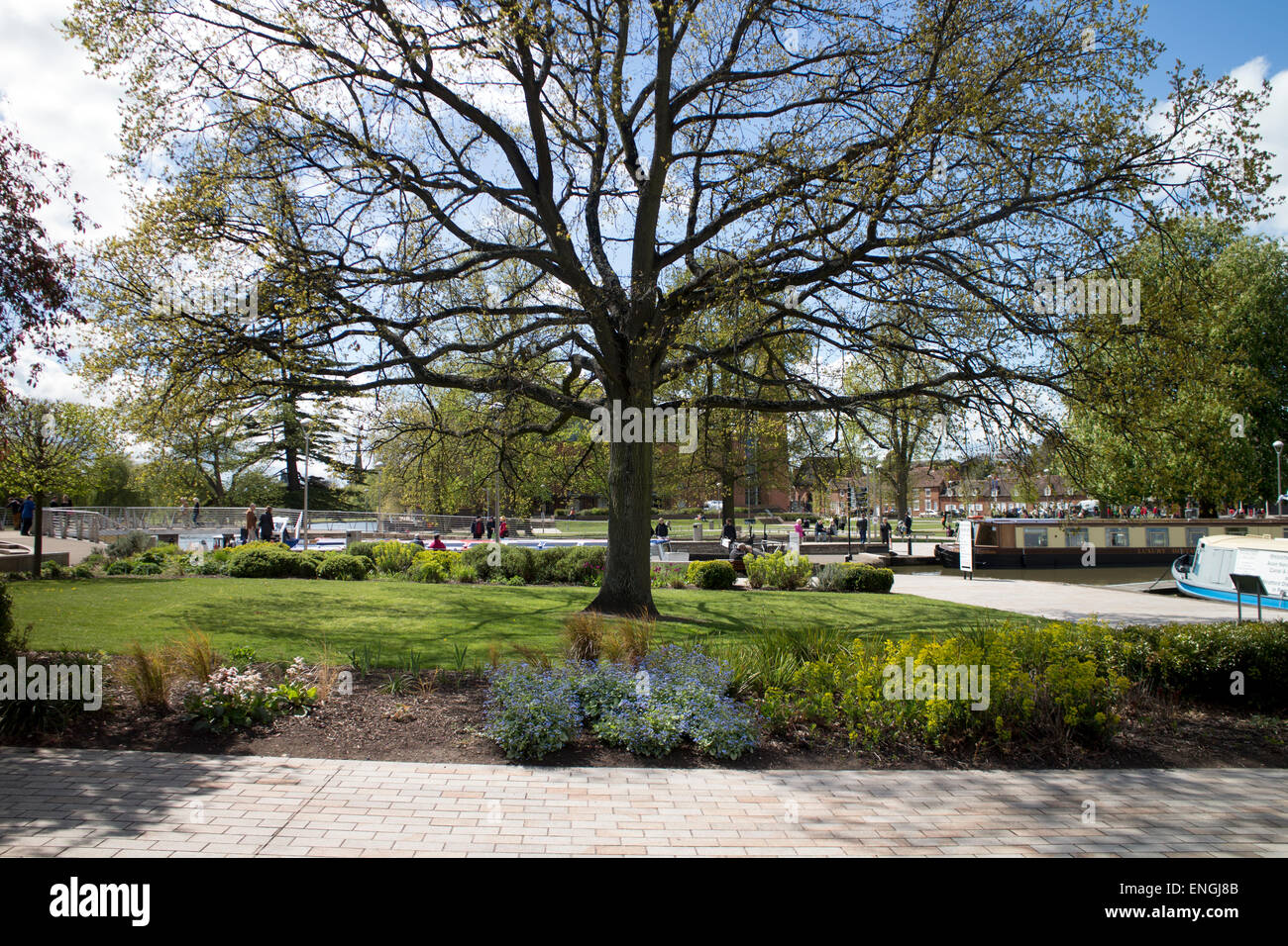 Bancroft Gardens, Stratford Warwickshire, England, Vereinigtes Königreich Stockfoto