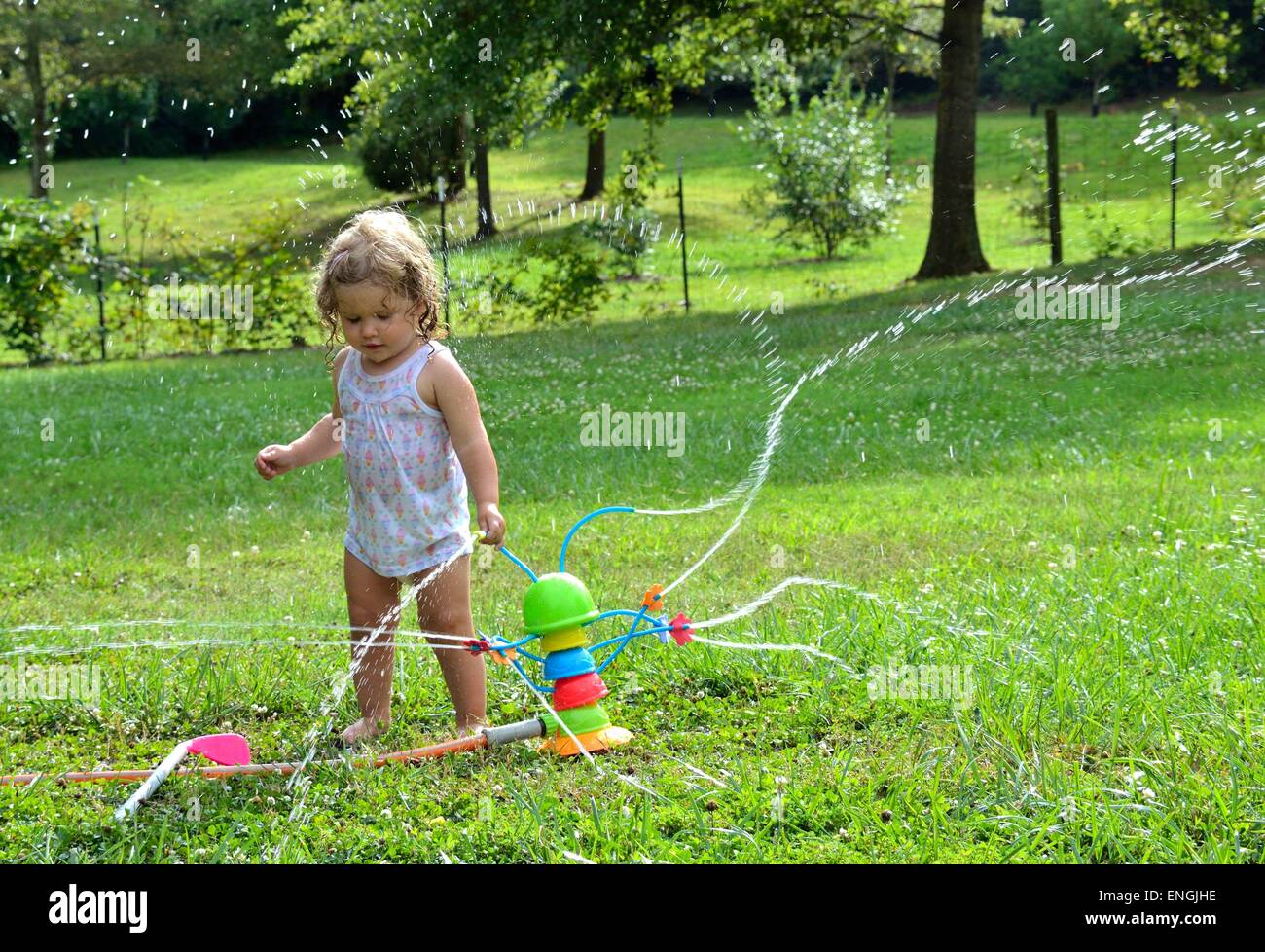 Blondes lockiges Mädchenakt Kleinkind spielen mit einem Spielzeug-Sprinkler.  Wasser Spritzen rund um. Stockfoto