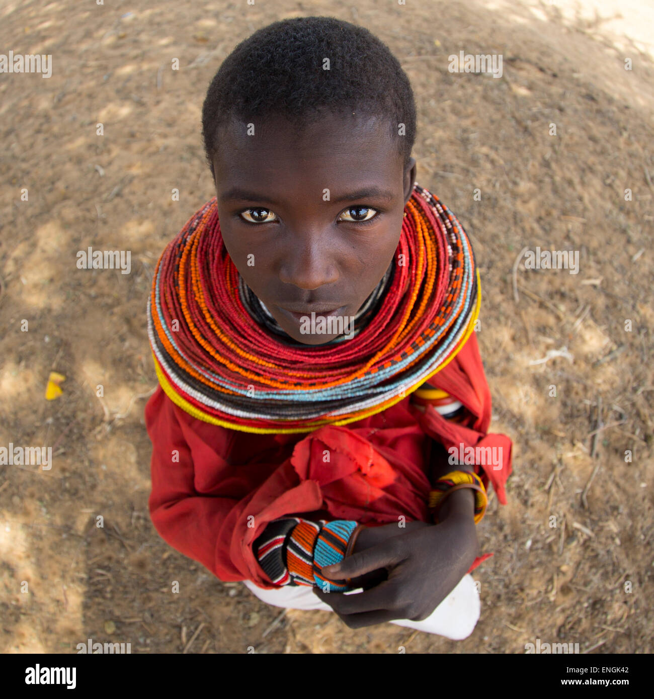 Porträt einer Frau Rendille, Marsabit District, Ngurunit, Kenia Stockfoto