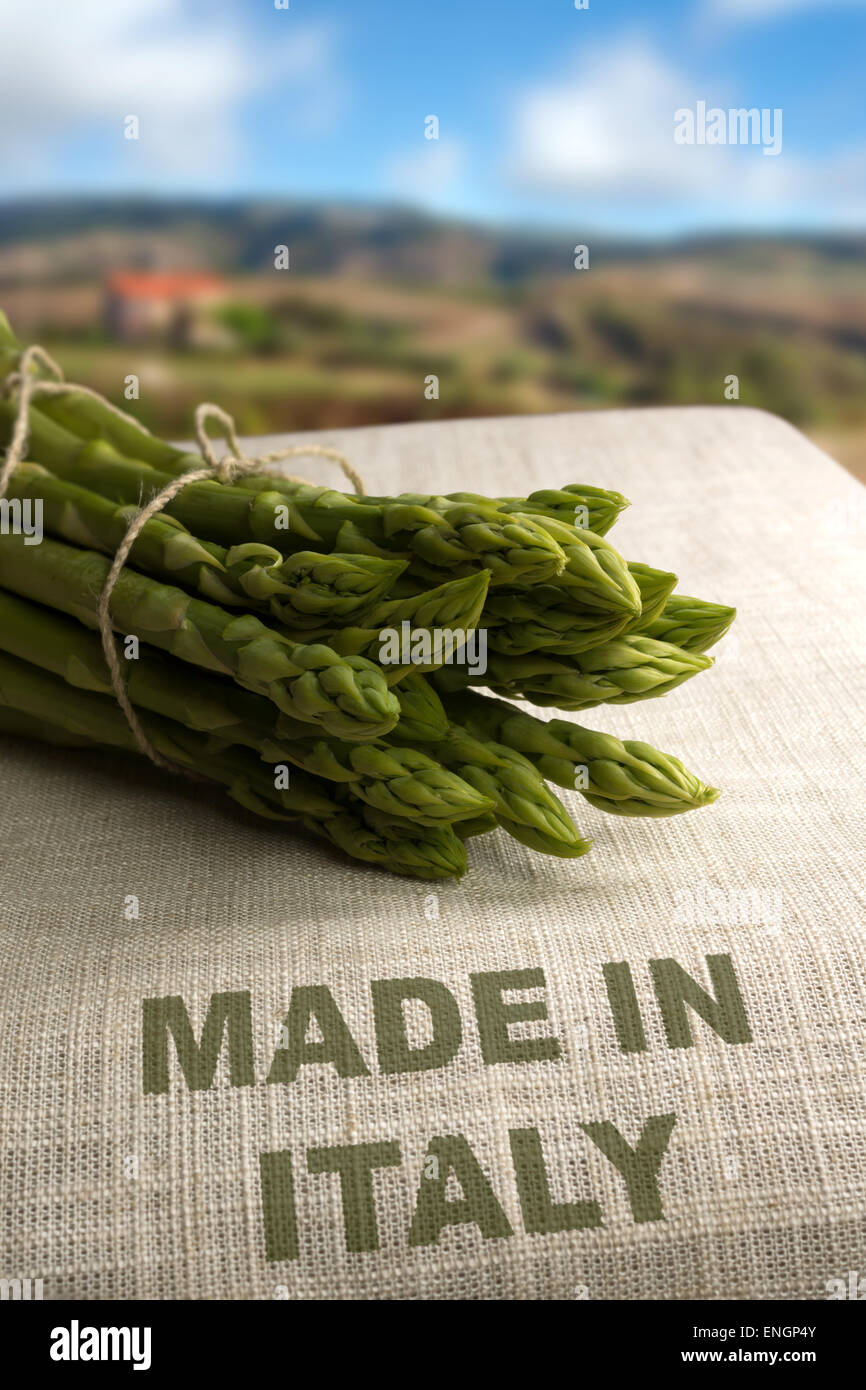 Grüner Spargel auf Tasche mit italienischen Landschaft im Hintergrund und Text "Made in Italy" Stockfoto