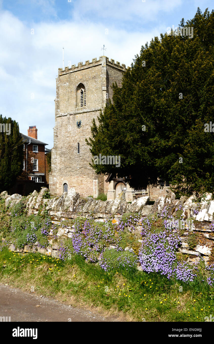Die Kirche von St. Jakobus in Cradley, Herefordshire Stockfoto
