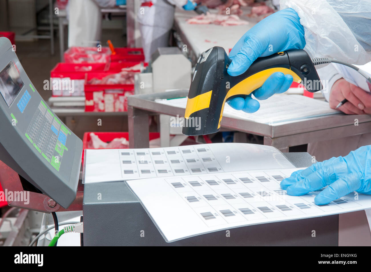 Zuordnung der Ware Barcode auf das Fabrik-Fleisch Stockfoto